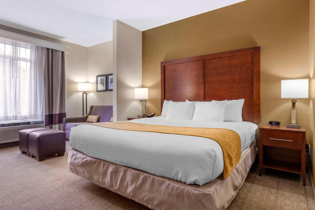 Hotel Comfort - Area