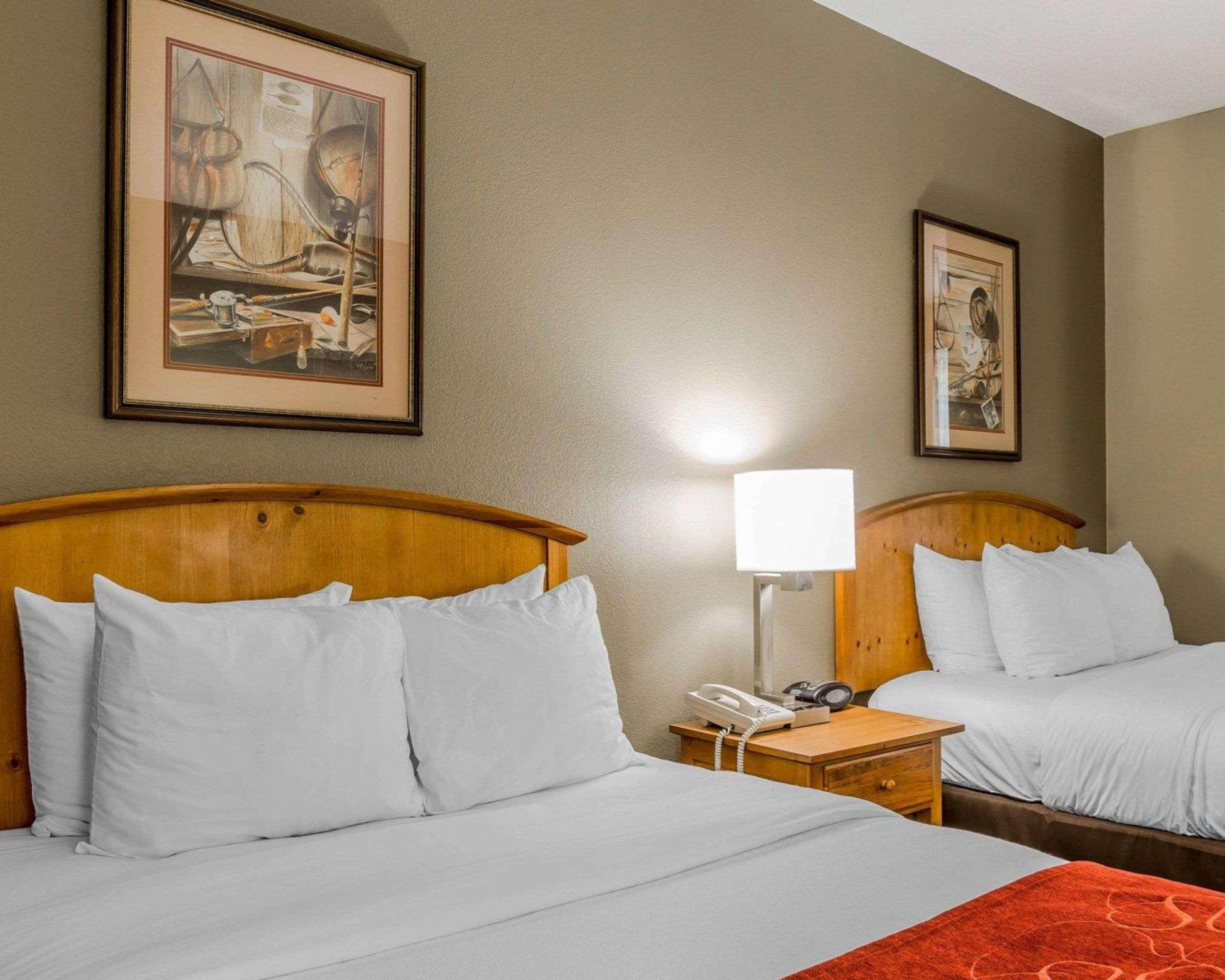 Comfort - Area 2*